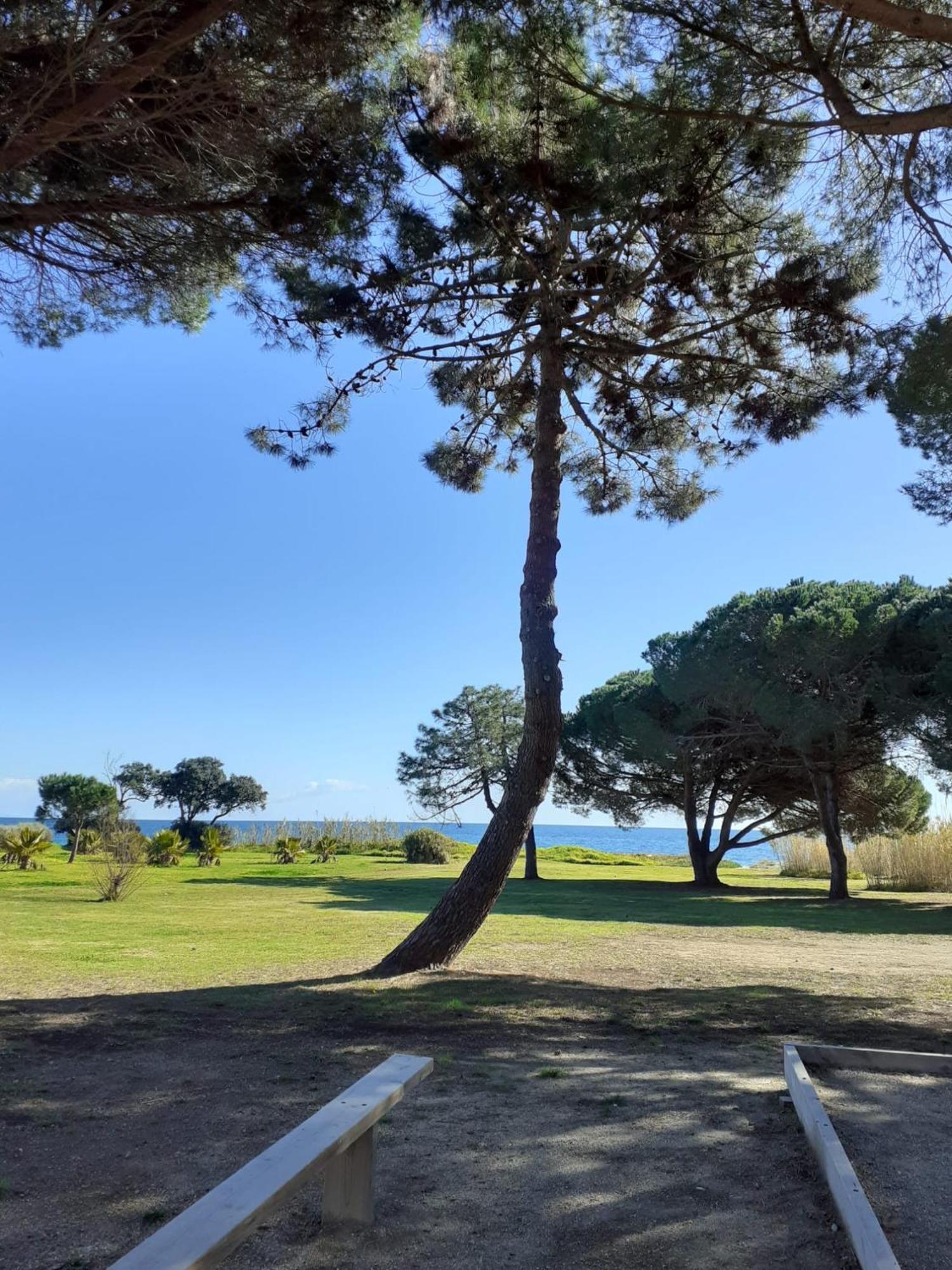 Bel Avec Piscine- Poggio Mezzana